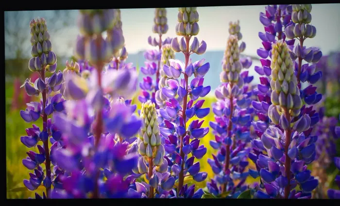 Smart TV 4K LG QNED 55 polegadas