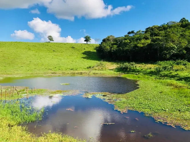 Imóvel para venda possui 620000 metros quadrados em Centro - Serraria - PB