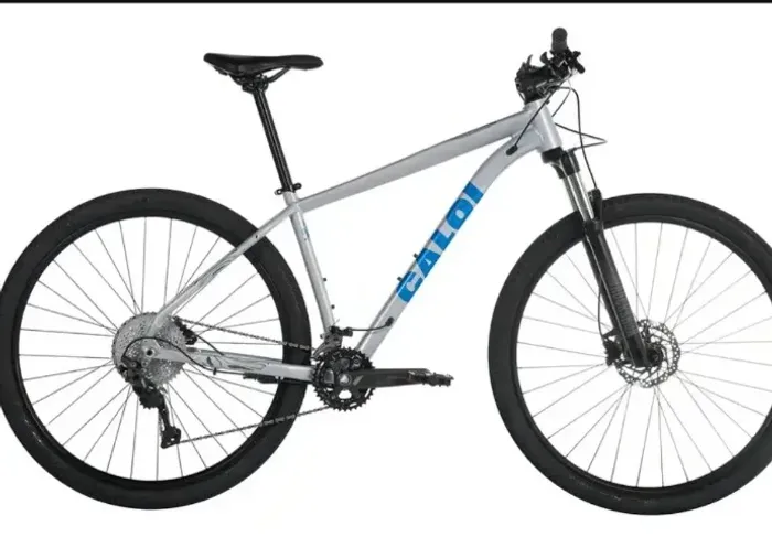 Bicicleta aro 29
