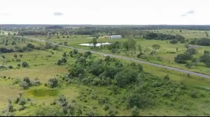 FAZENDA Á VENDA -TURILÂNDIA/MA codigo: 370853
