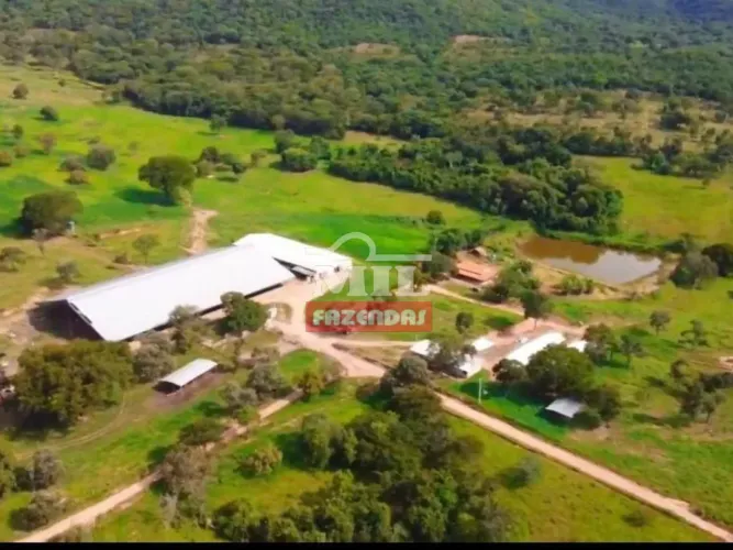 Fazenda 30 alqueires (145,2 hectares) Cromìnia - GO