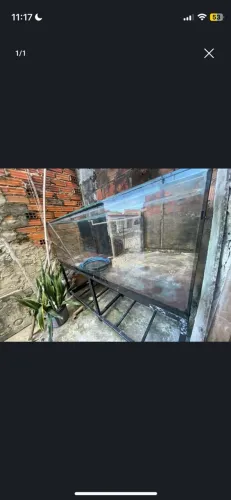 Aquário