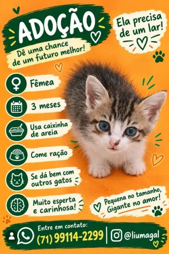 Ei mim adote