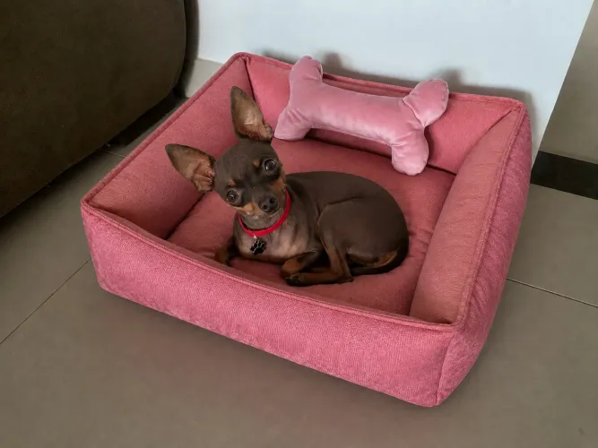 Camas pet - super premium 