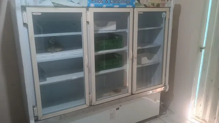 Expositor de bebidas e alimentos