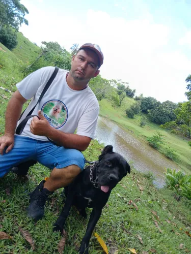 Adestrador e comportamentalista canino 