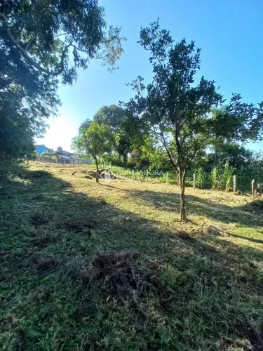 Terreno à venda no Cruzeiro em Caxias do Sul