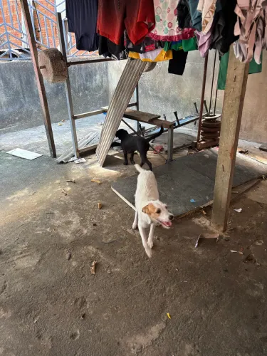 Doação 
