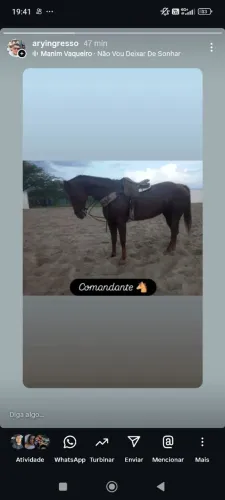 Cavalo de esquerda 