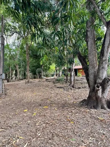 Sítio à venda, BR 343, Prox. Policia Rodoviária Federal, Área Rural, Teresina, PI