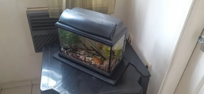 Aquário 20l montado com bomba oxigenação 