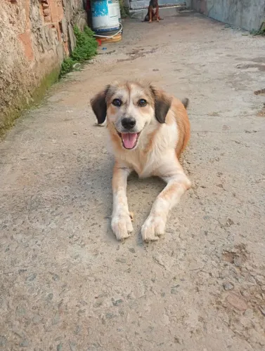 Oi me chamou mel e estou para doação, minha mãe não t m comoe levar com ela.