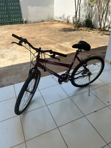 Bicicleta adulto