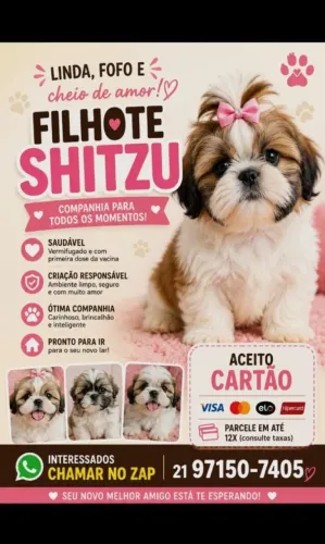 Cachorrinhos fofinhos e adoráveis