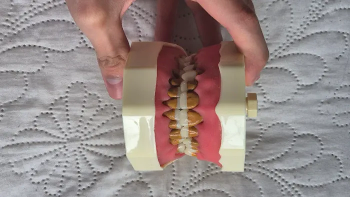 Manequim periodontia NOVO