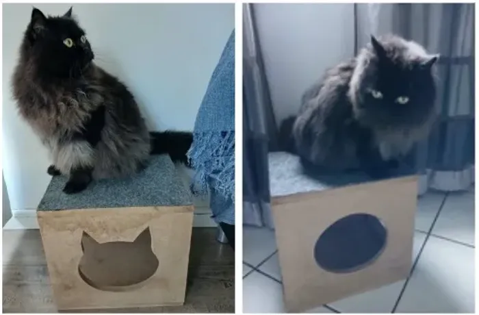 2 Nichos Tocas Casa para Gatos com carpete