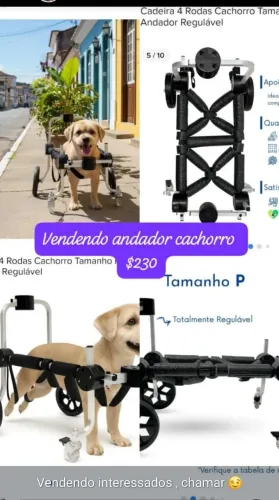 Andador para cachorro