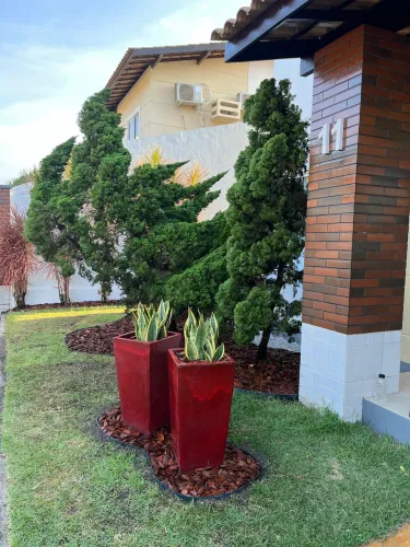 Vaso vietnamita para plantas