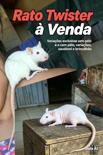 rato Twister por 10 cada filhote