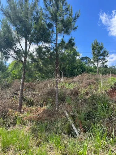 Venda - Terrenos - Nossa Senhora da Saúde - Caxias do Sul - RS