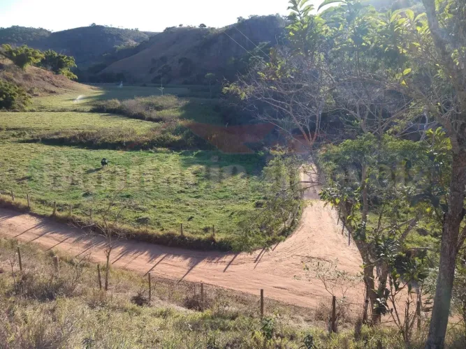 PARAÍBA DO SUL - RURAL - Sebollas