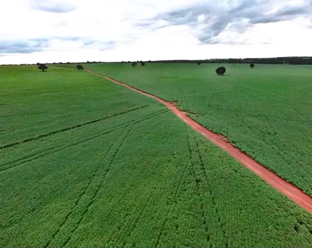 Fazenda de arrendamento pra soja 950 hec em Inhanduí MS.