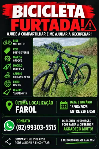 Bicicleta aro 29