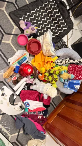 Vende-se objetos para cachorros