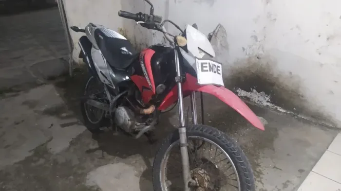 Bross 2003
