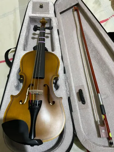 Violino