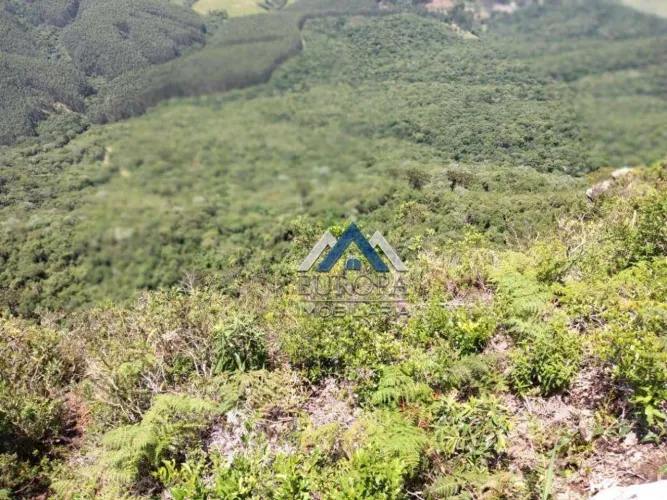 Área à venda, 1306800 m² por R$ 2.160.000,00 - Sítio - Ortigueira/PR