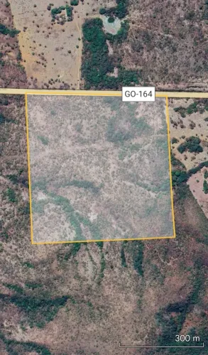 Terra bruta 5 alqueires,as margens da GO-164 a 60 km da cidade de Goias