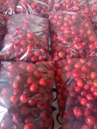 Acerola natural qualidade Premium, conjelada