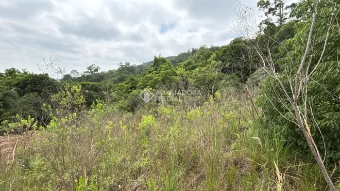 Terreno à venda em Santa Clara do Sul - RS