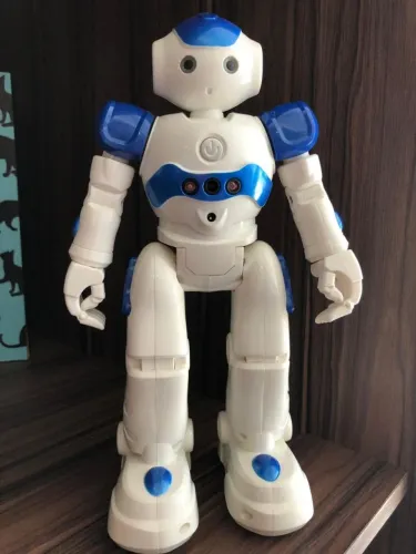 Robô com Controle Remoto