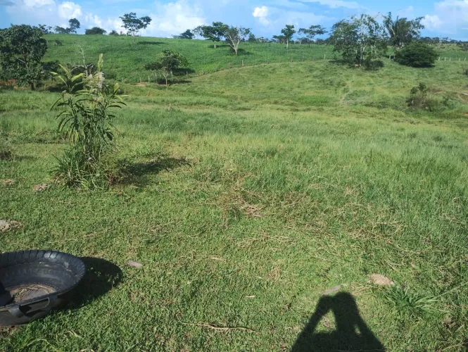 Terra a venda em Acrelândia/Ac