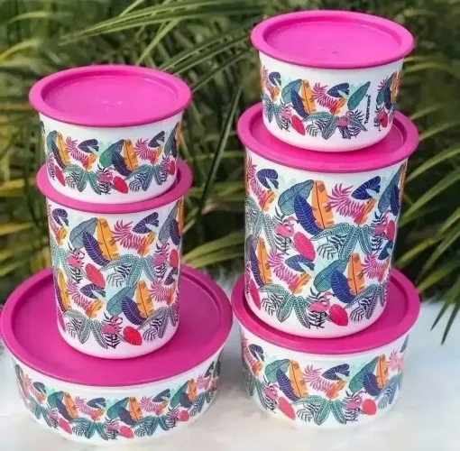 Conjunto instantânea flamingo 6 peças Tupperware