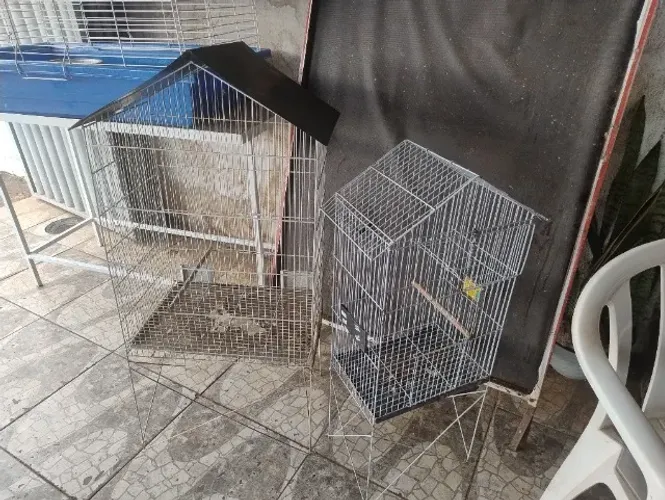 Viveiros gaiola calopsitas pássaros