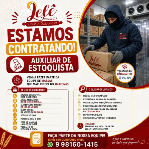 Auxiliar Estoquista