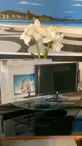 Monitor LED de 15.4 polegadas - Brazil PC