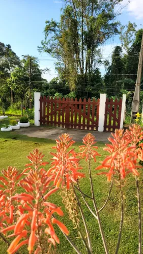 Jardinagem