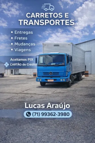 Transporte & Mudança 
