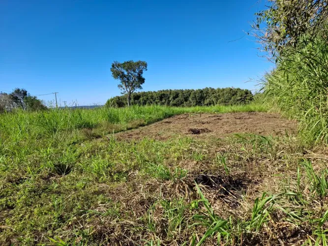 Imóvel para venda tem 100000 metros quadrados em Barra Nova - Barra do Choça - BA