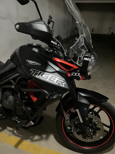 Tiger 800 muito nova