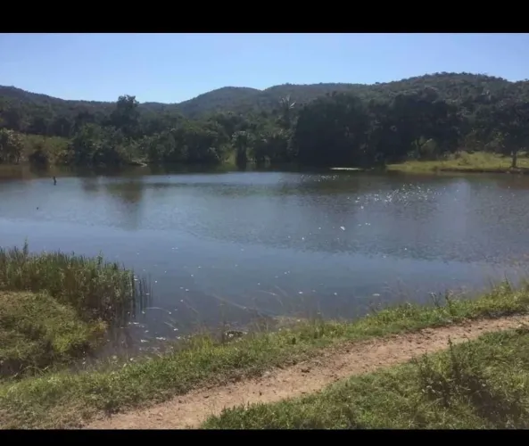 Fazenda a venda para gado em - Itapirapuã - Goiás