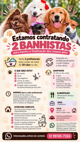 BANHISTA FREELANCD