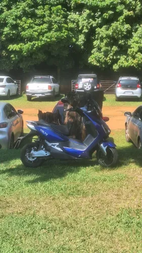 Voltz EV1 2019