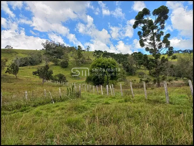 SITIO PARA OLIVEIRAS/CORTE/LEITE/LAZER - MARMELÓPOLIS- MG