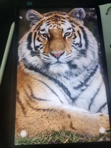 Tablet s10 fe plus 13.1 polegadas