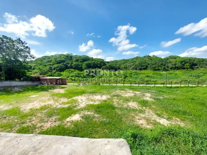 Lote/Terreno/Condomínio em Várzea